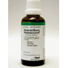 Anacardium-Homaccord-50-Ml.jpg